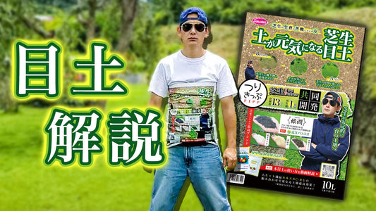 【最新情報】土が元気になる芝生目土