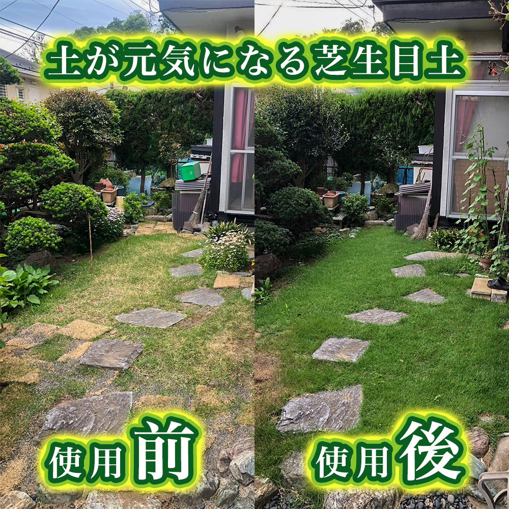 土が元気になる芝生目土
