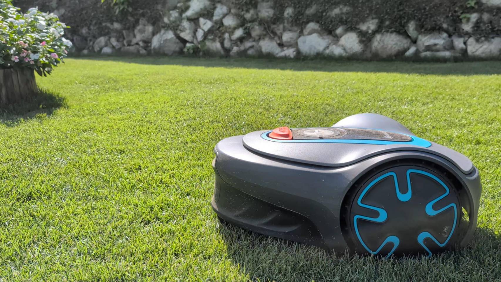 手入れされた芝生の上のロボット芝刈り機