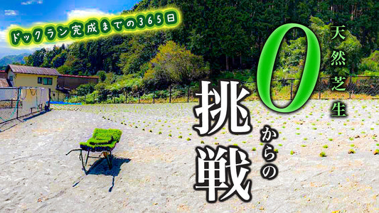 天然芝ドッグランプロデュース – つりきっぷチャンネル