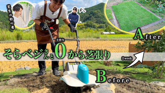 そらベジさんコラボ